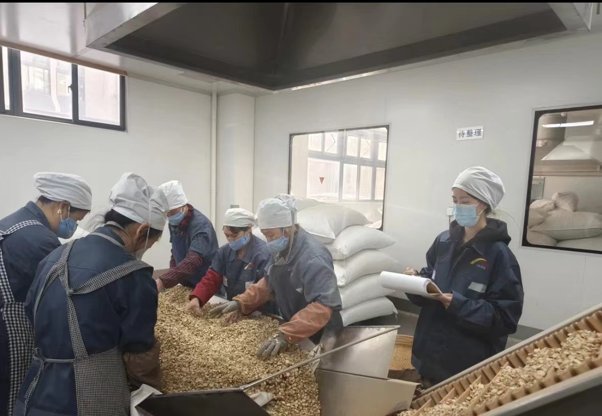 Qingdao Biohoer Biotech Co., Ltd. a început oficial construcția