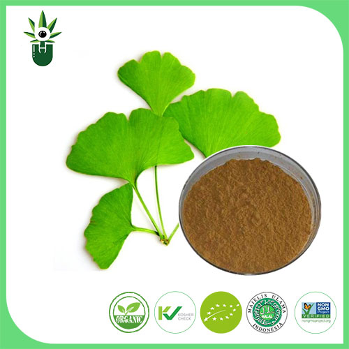 Ce simptome pot fi utilizate extractul de frunze Ginkgo Biloba pentru a atenua?