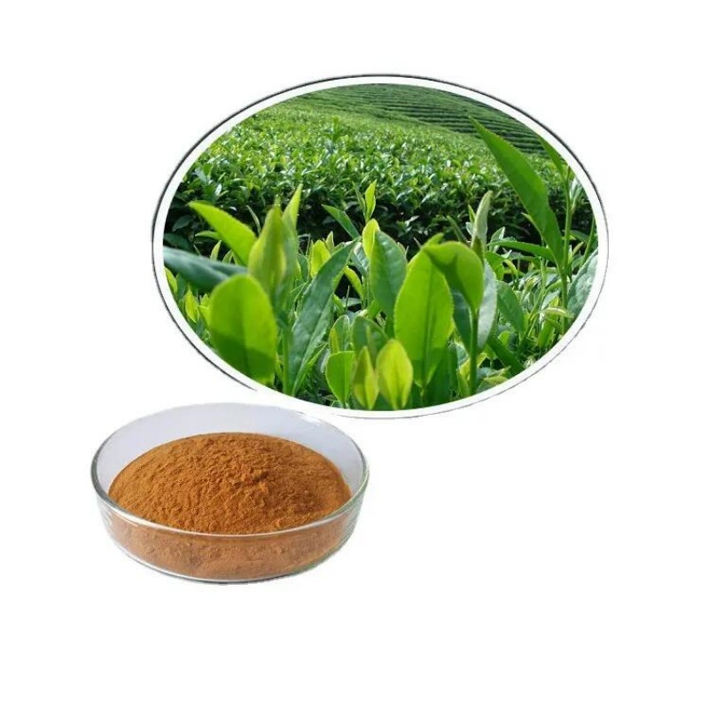 Care sunt aplicațiile alimentare ale extractului de ceai verde?