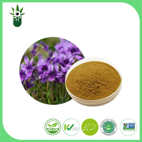 De ce produsele de ulei esențial pentru plante câștigă atenție globală?