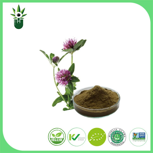 Medicago sativa L Extract