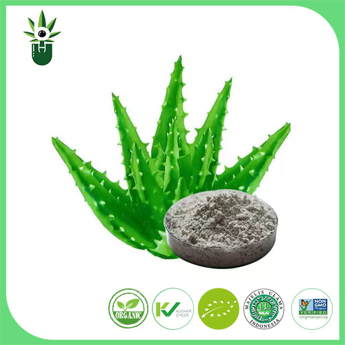 Extract de Aloe Vera