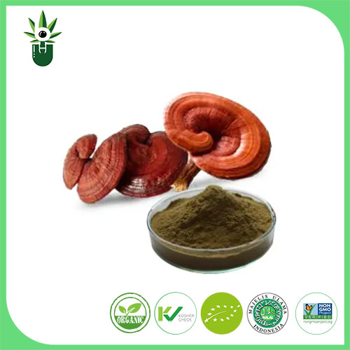 Extract de Ganoderma Lucidum