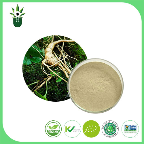 Extract de ginseng