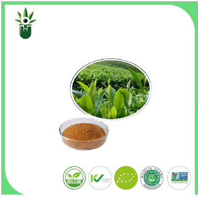 Extract natural de ceai verde 98% L