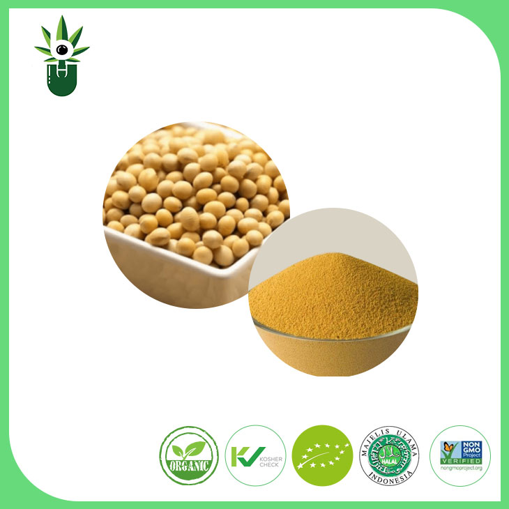 Extract de soia non-OMG Pudră 90% izoflavone de soia