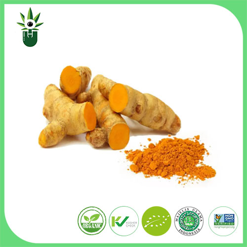 Extract de turmeric